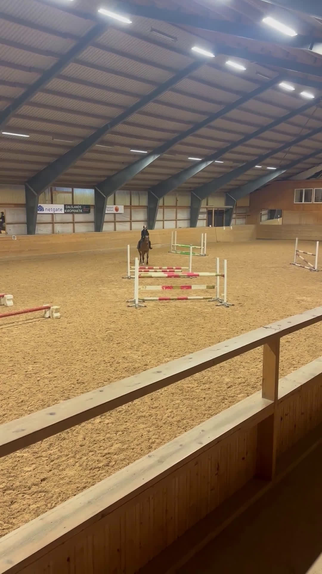 Allround hästar till salu: Världens snällaste läromästare (SWB) i Åmål - Video 1