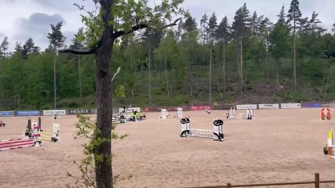 Hoppning hästar till salu: Pigg och framåt D-ponny i Forsheda - Video 1