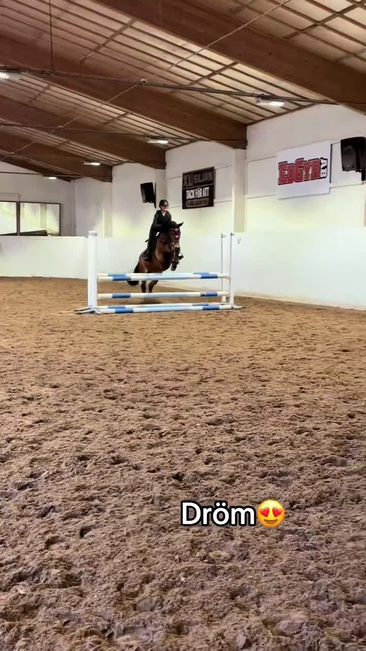 Allround hästar till salu: Fantastiskt Sto söker nytt och rätt hem i Rättvik - Video 3