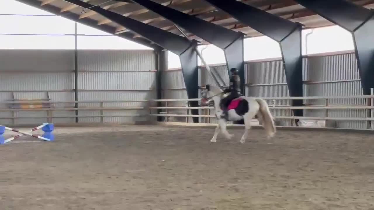 Allround hästar till salu: Charmigaste ponnyn - Video 1