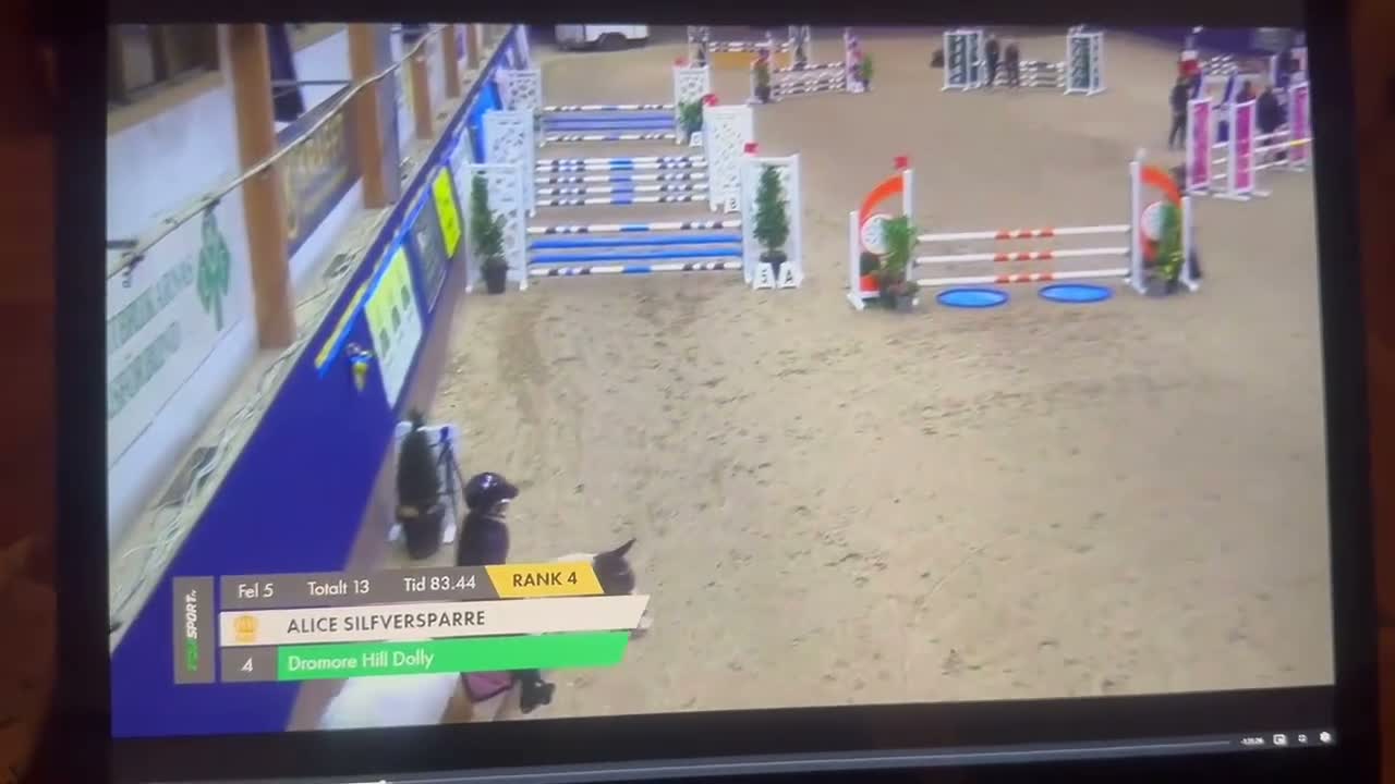 Hoppning hästar till salu: 🌟En av Sveriges bästa B ponnysar🌟 - Video 4