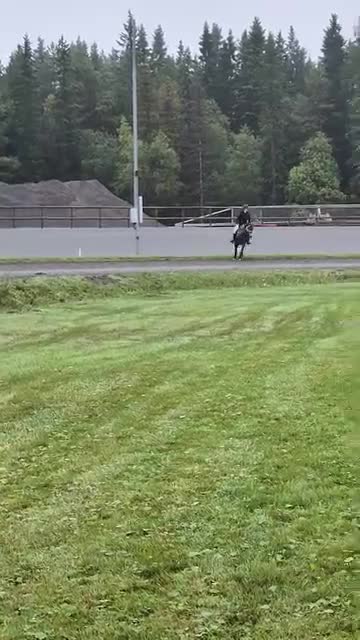 Allround hästar till salu: Projekt ponny i Bollstabruk - Video 4