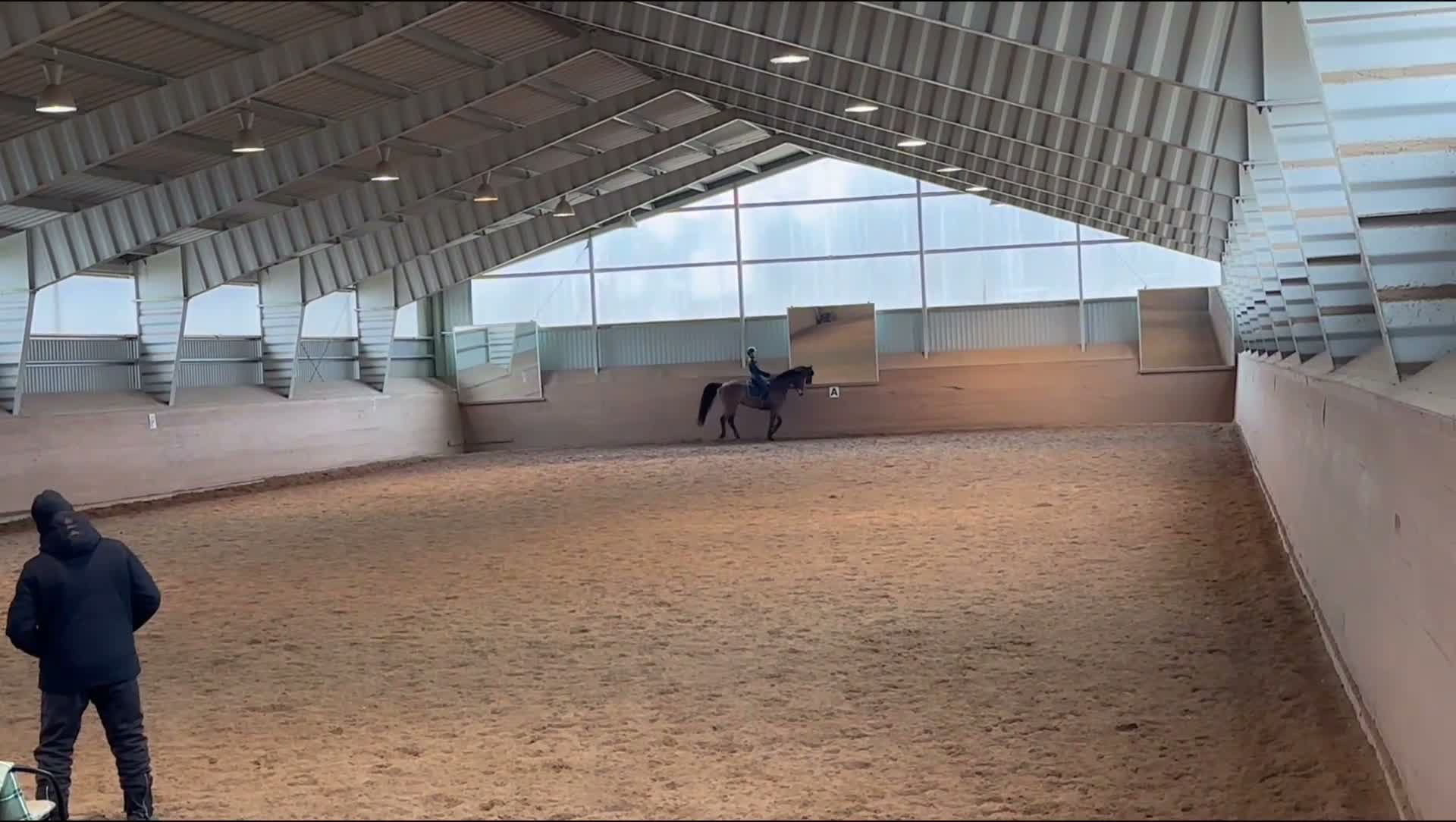 Dressyr hästar till salu: Trevligt sto med utstrålning i Filipstad - Video 1