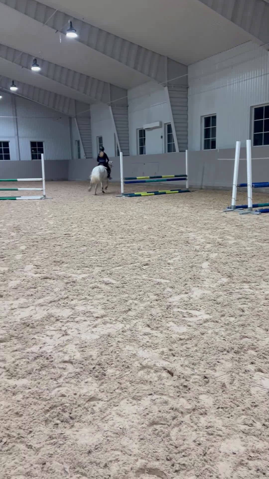 Hoppning hästar till salu: Bästa vän i Kullavik - Video 1