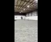 Allround hästar till salu: D-ponny sto - Video 2