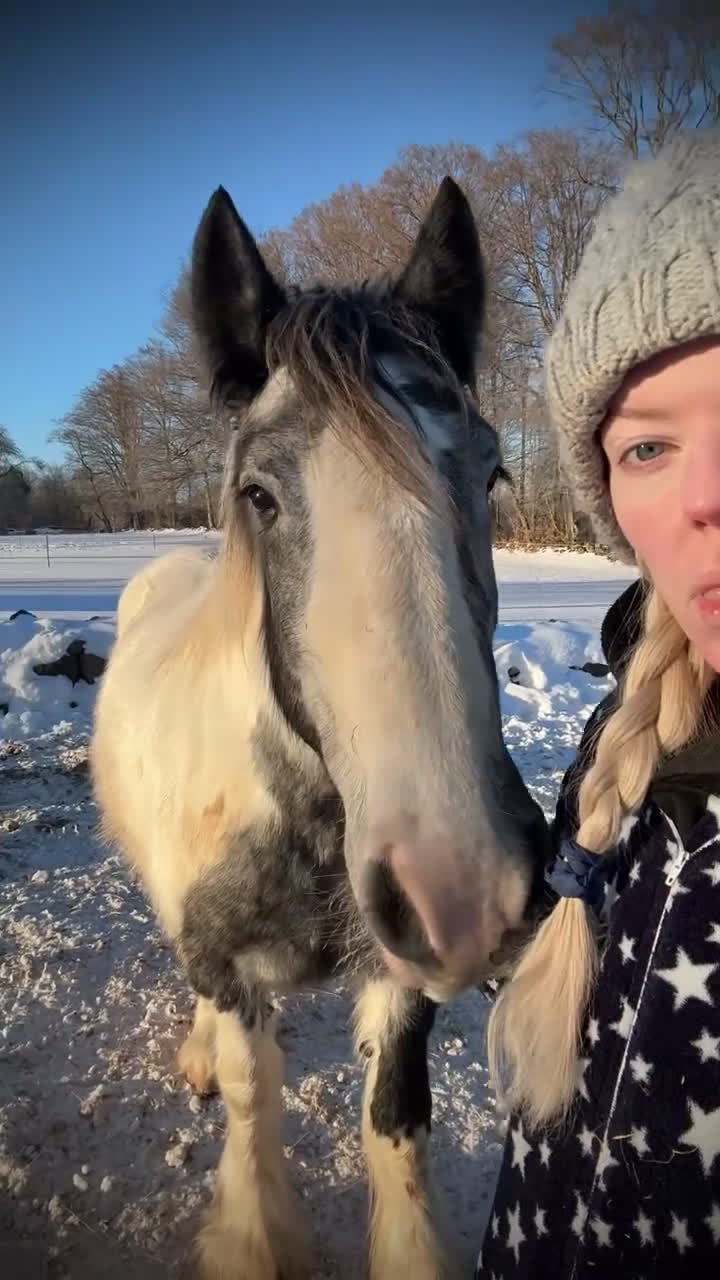 Övrigt hästar till salu: Fina tjejen Luna i Vankiva - Video 1