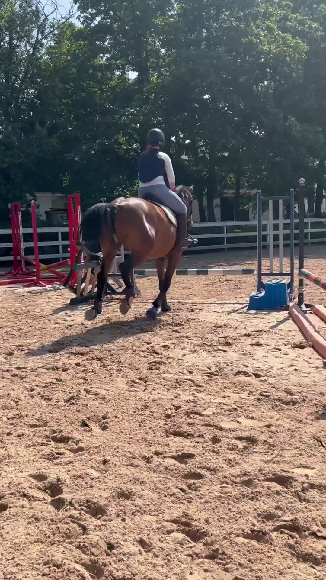 Dressyr hästar till salu: Trevlig valack  i Kungsbacka - Video 3