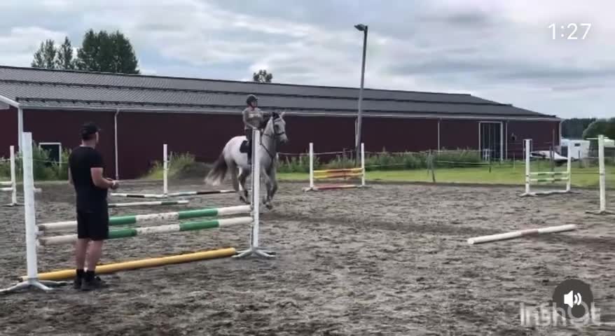 Hoppning hästar till salu: Den där du inte kan missa! - Video 4