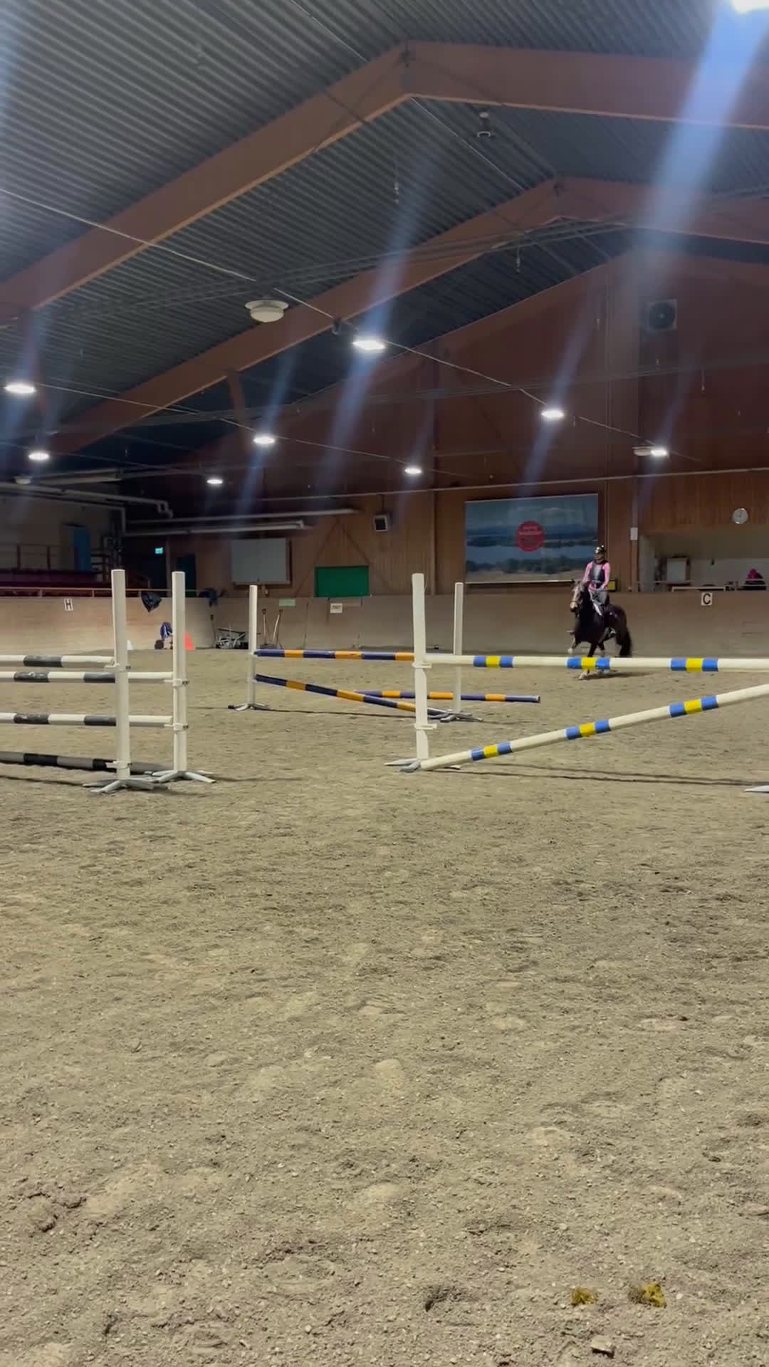 Hoppning hästar till salu: D-ponny söker nytt kärleksfullt hem i Alsen - Video 2