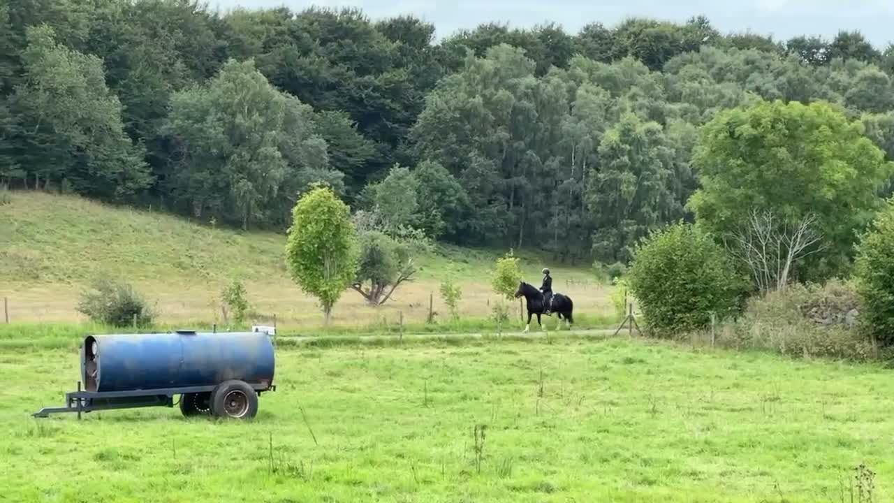 Island hästar till salu: Entusiastiskt 15-årigt Islandsto i Kågeröd - Video 1