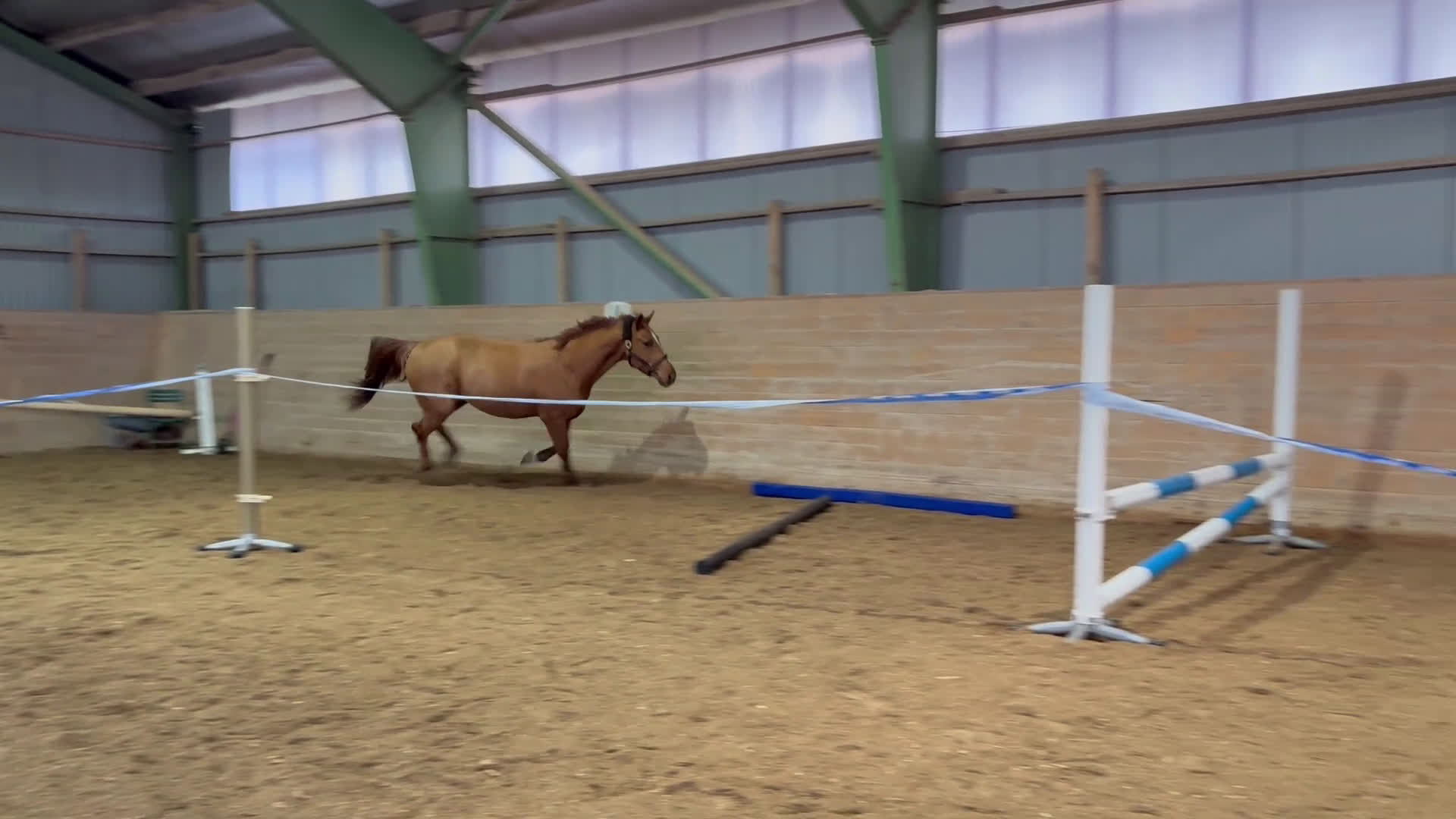 Hoppning hästar till salu: Lovande unghäst 🌟 i Örebro - Video 1