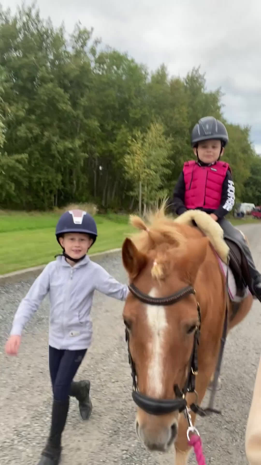  foderhäst finnes: Hel/halvfoderponny finnes i Lidköping - Video 2