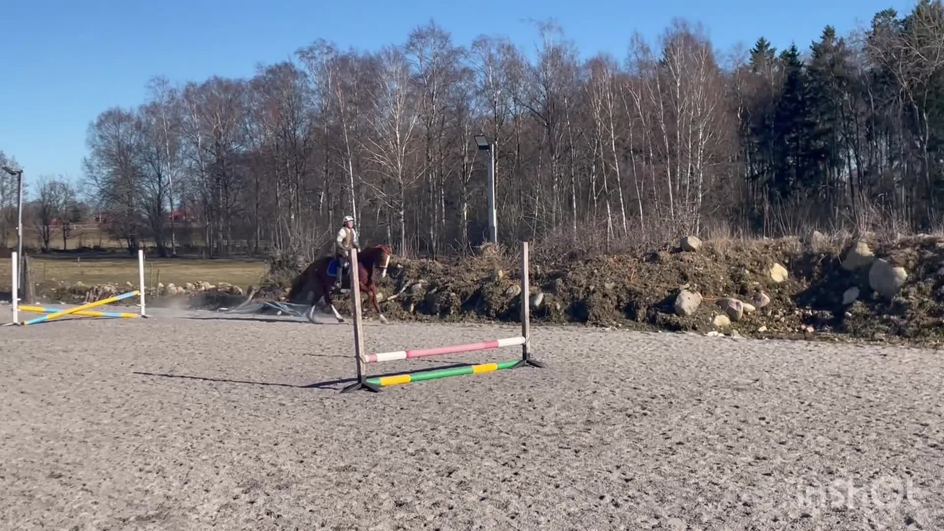 Övrigt hästar till salu: Söker du en flott häst med wow? - Video 2