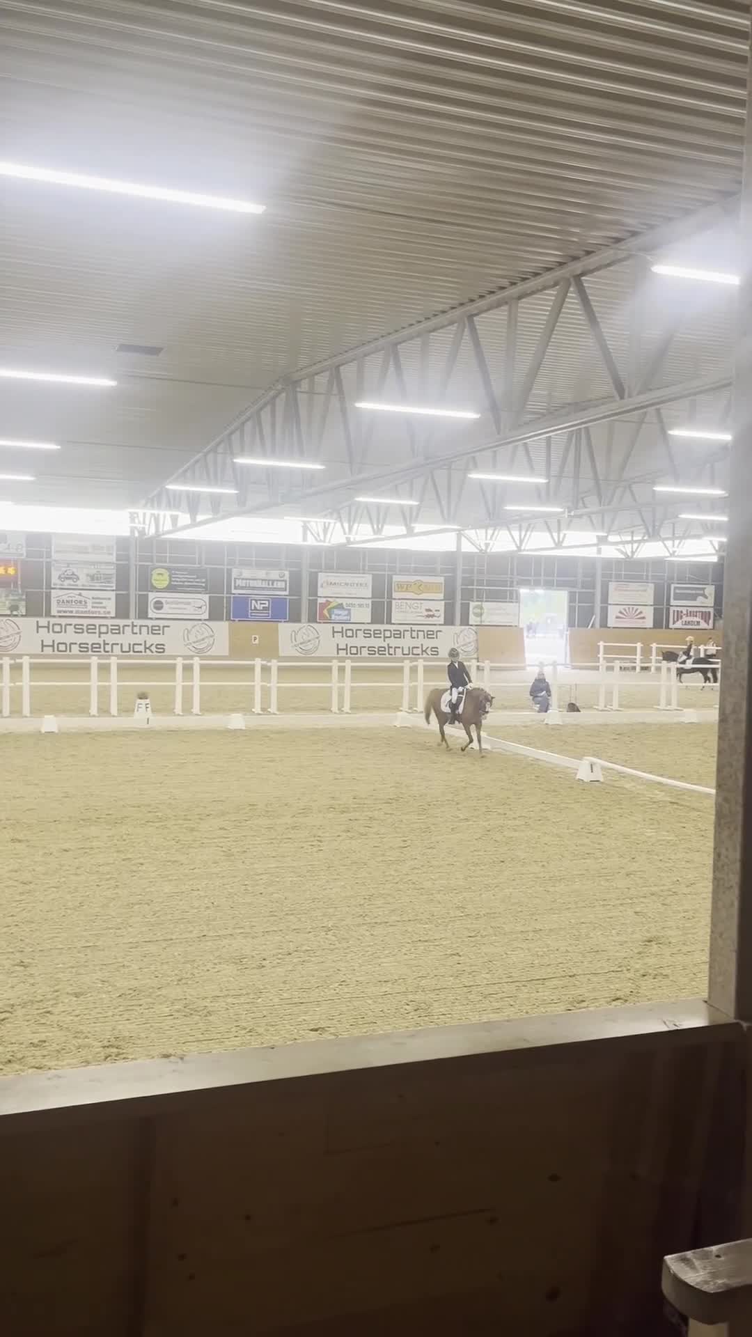 Dressyr hästar till salu: B ponny med SM kval  - Video 2