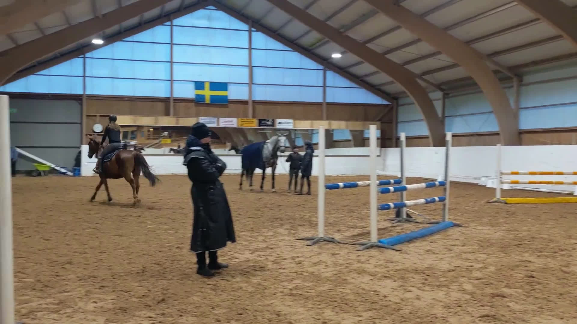 Allround hästar till salu: Trevlig allroundhäst i Avesta - Video 1