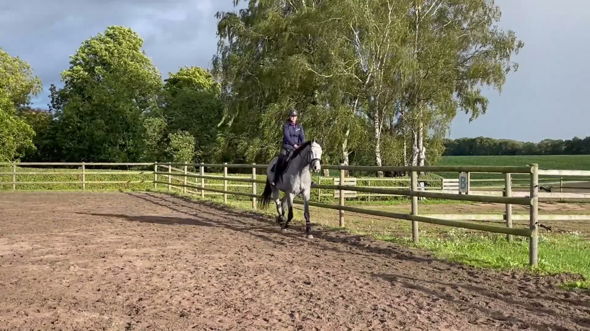 Allround hästar till salu: Vacker häst besiktigad UA - Video 3