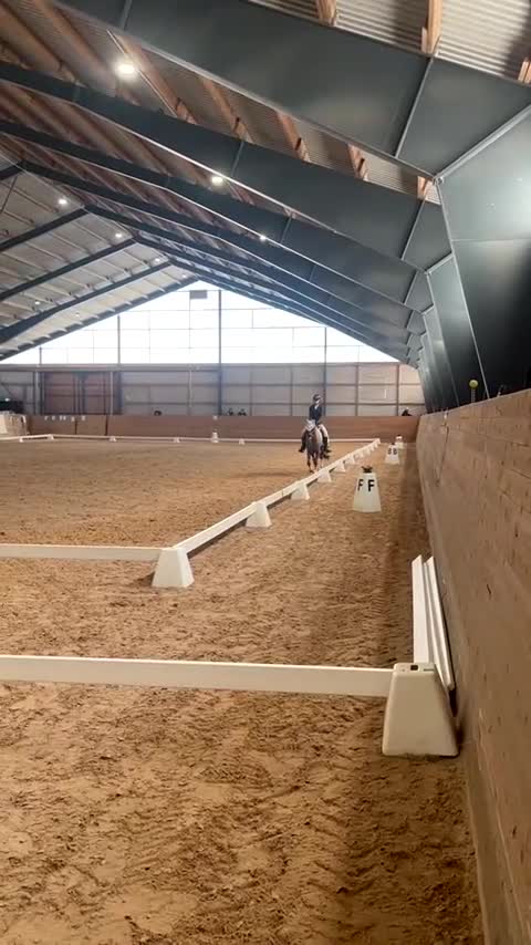 Allround hästar till salu: Charmig C-ponny söker nytt hem. - Video 2