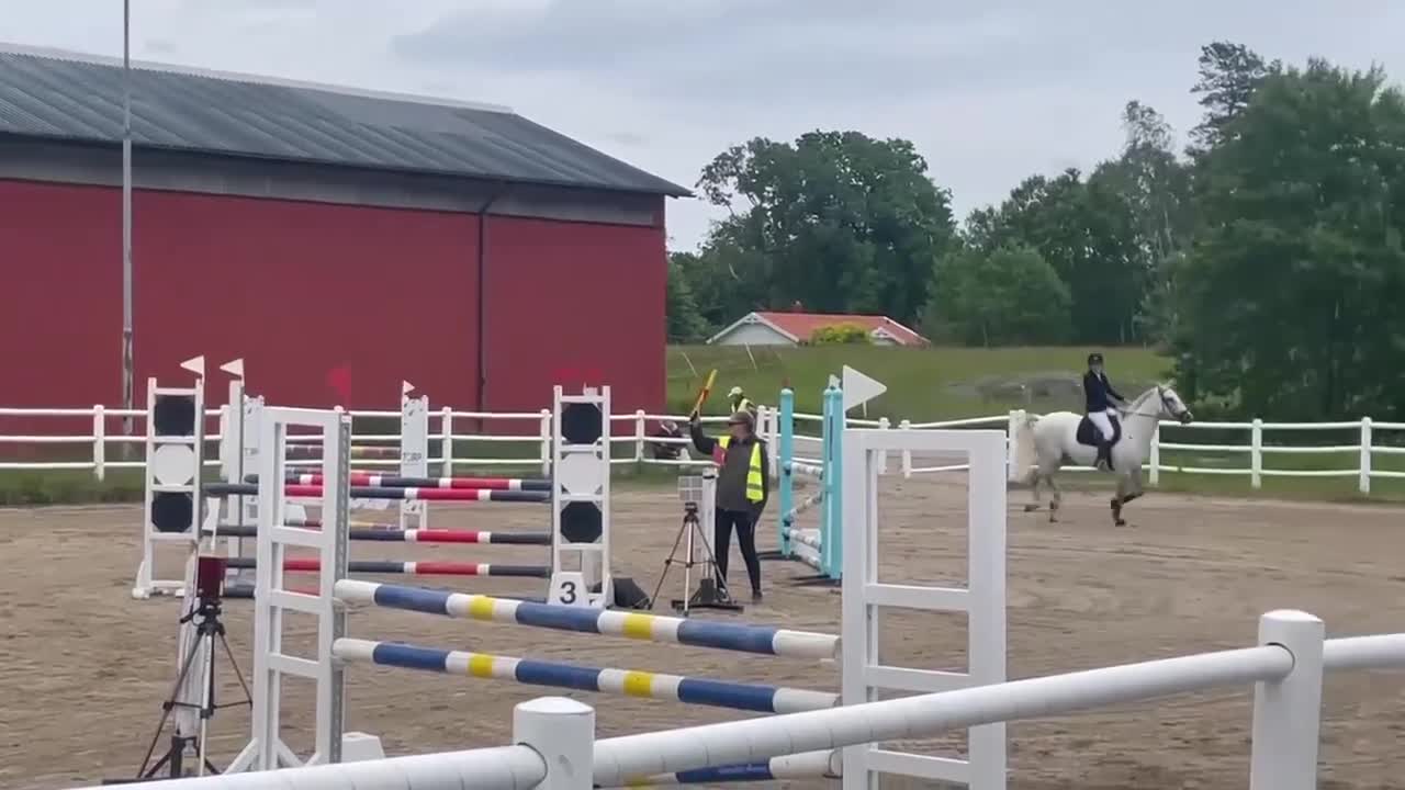 Hoppning hästar till salu: Vacker tävlingshäst med bra hoppteknik - Video 2