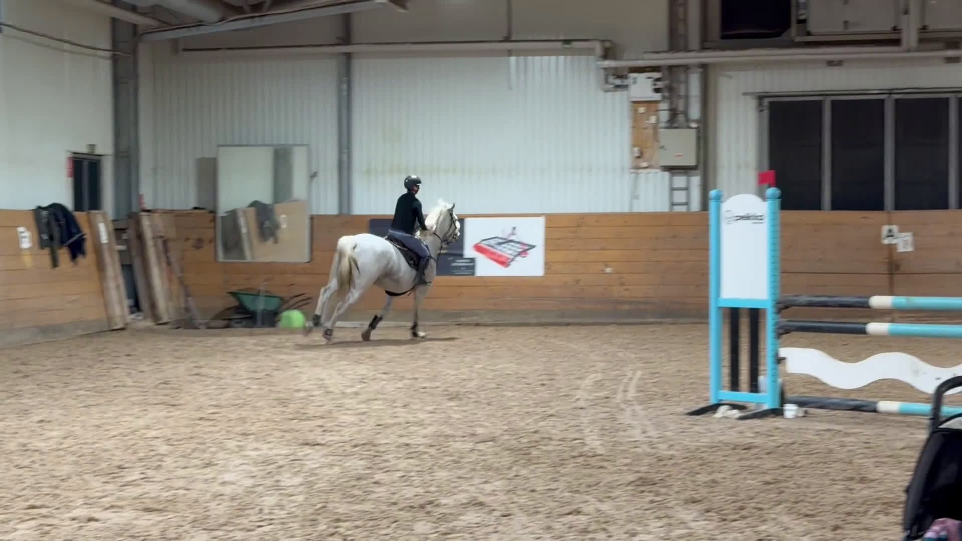 Hoppning hästar till salu: Förtroende givande hopphäst i Åtvidaberg - Video 2