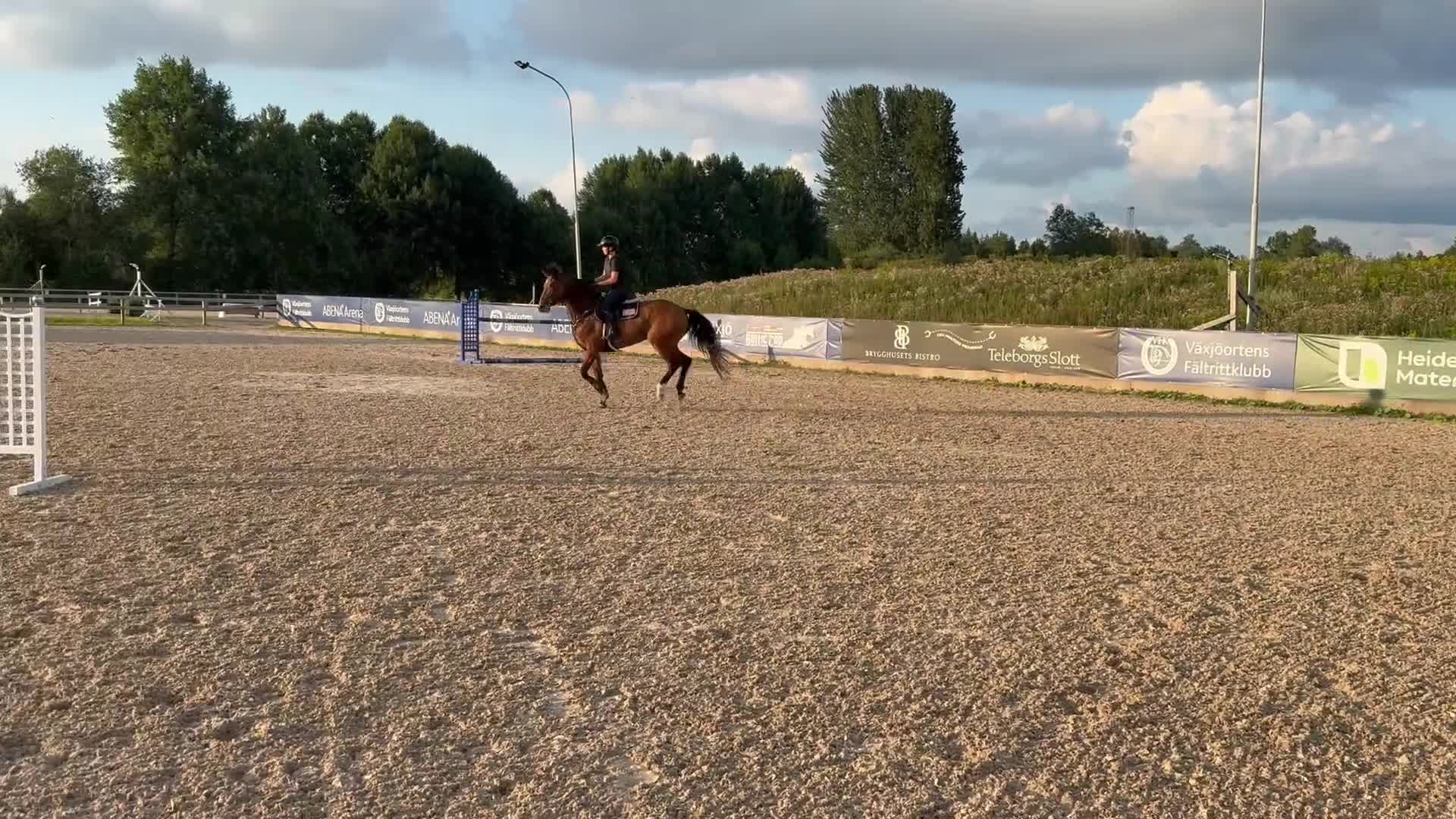 Hoppning hästar till salu: Häst med mycket power e:Balou du rouet - Video 2