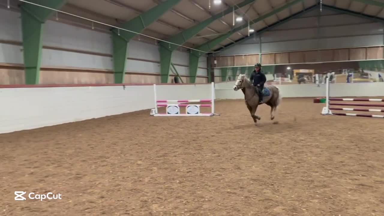 Allround hästar till salu: Maxad C-ponny - Video 2