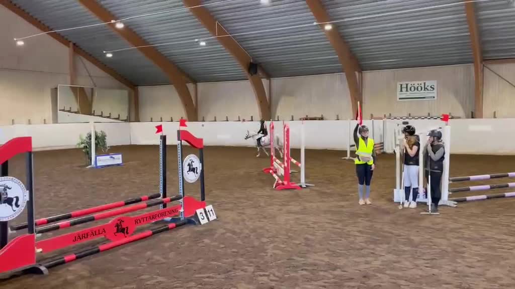 Allround hästar till salu: Underbart Welsh-sto letar ny bästa vän - Video 1