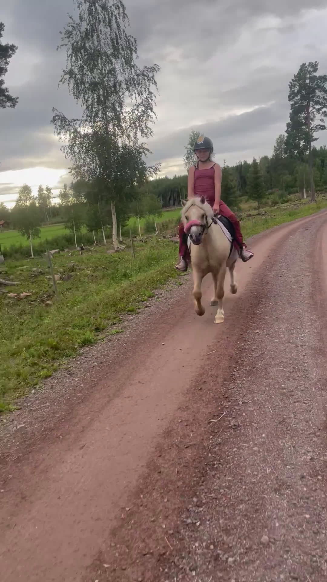 Allround hästar till salu: Söt Ponny  i Orsa - Video 3