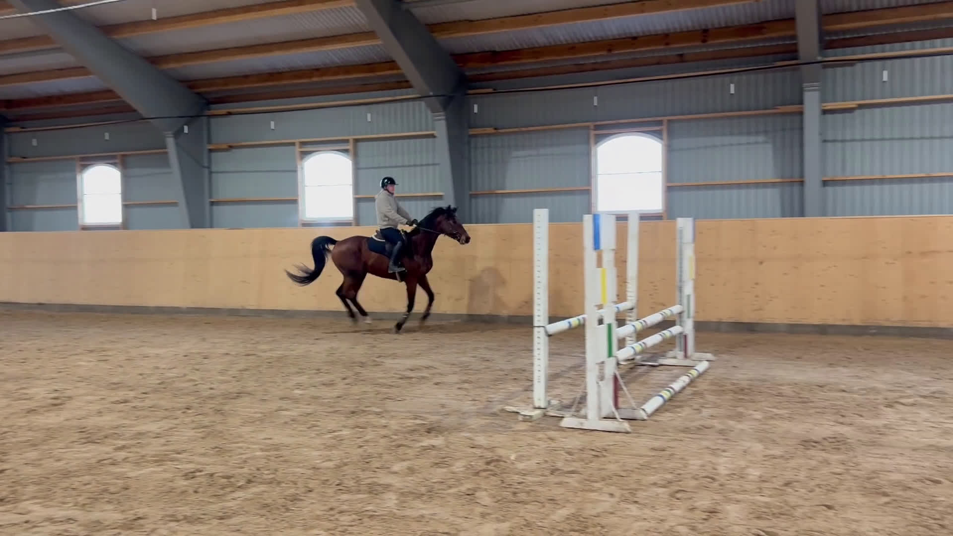 Allround hästar till salu: Välriden fin häst  i Tomelilla - Video 1