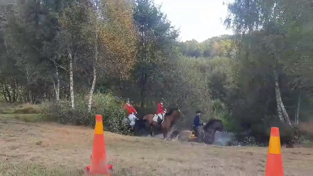 Allround hästar till salu: Glad kille med energi  i Kungälv - Video 4