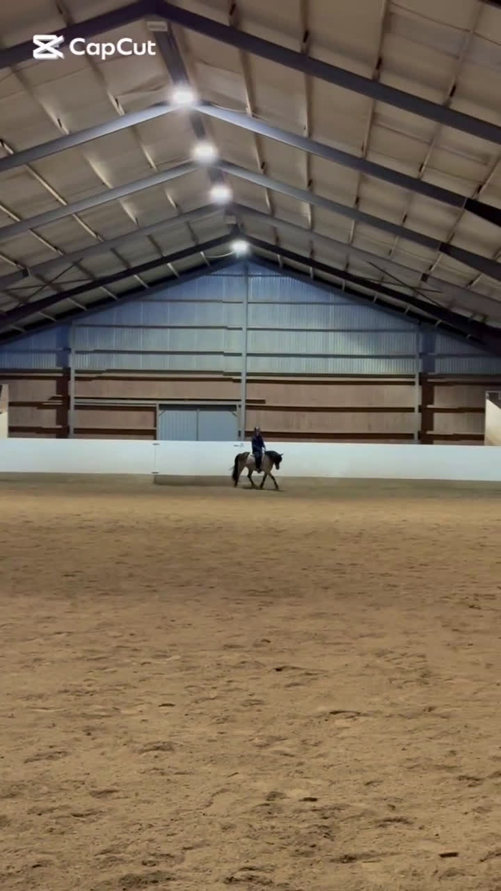 Allround hästar till salu: Fin allroundponny i Rydaholm - Video 2