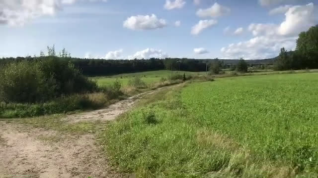 Dressyr hästar till salu: FEI Dressyrponnyn som hänger med på allt i Njurunda - Video 1