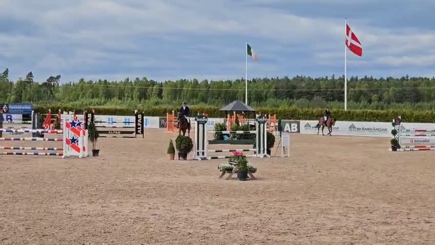 Hoppning hästar till salu: Snygg välutbildad hoppstammad valack i Kristianstad - Video 3