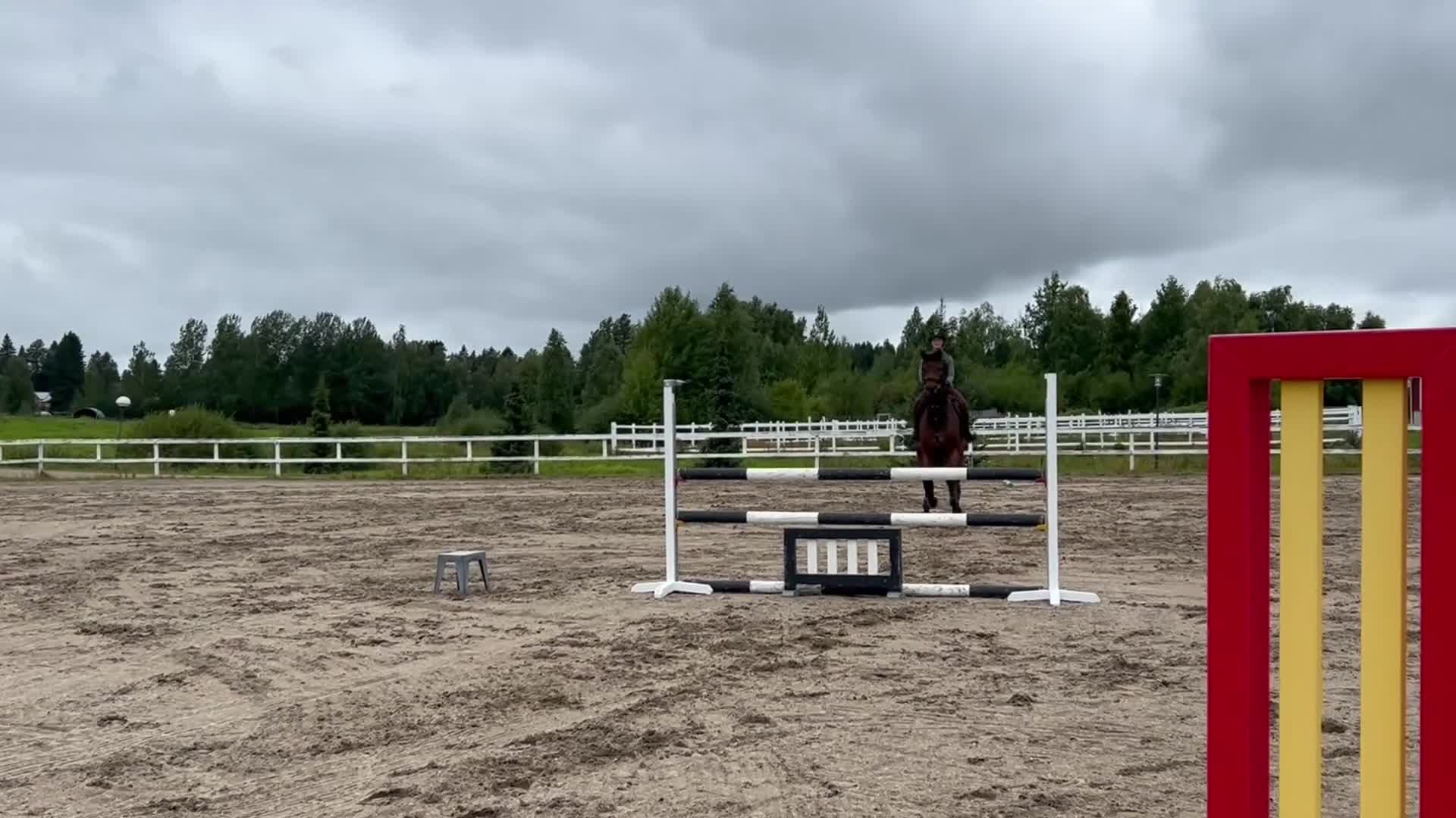 Hoppning hästar till salu: 5-years-old show jumping horse i Kiuruvesi - Video 1