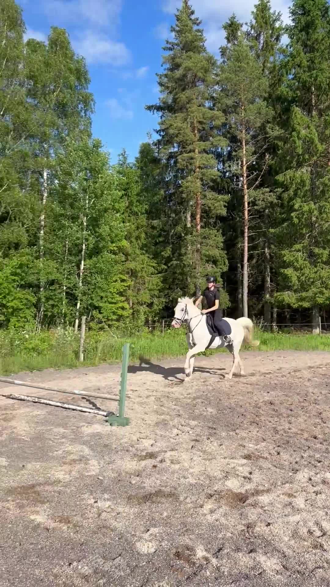 Allround hästar till salu: Trevlig D-ponny - Video 1