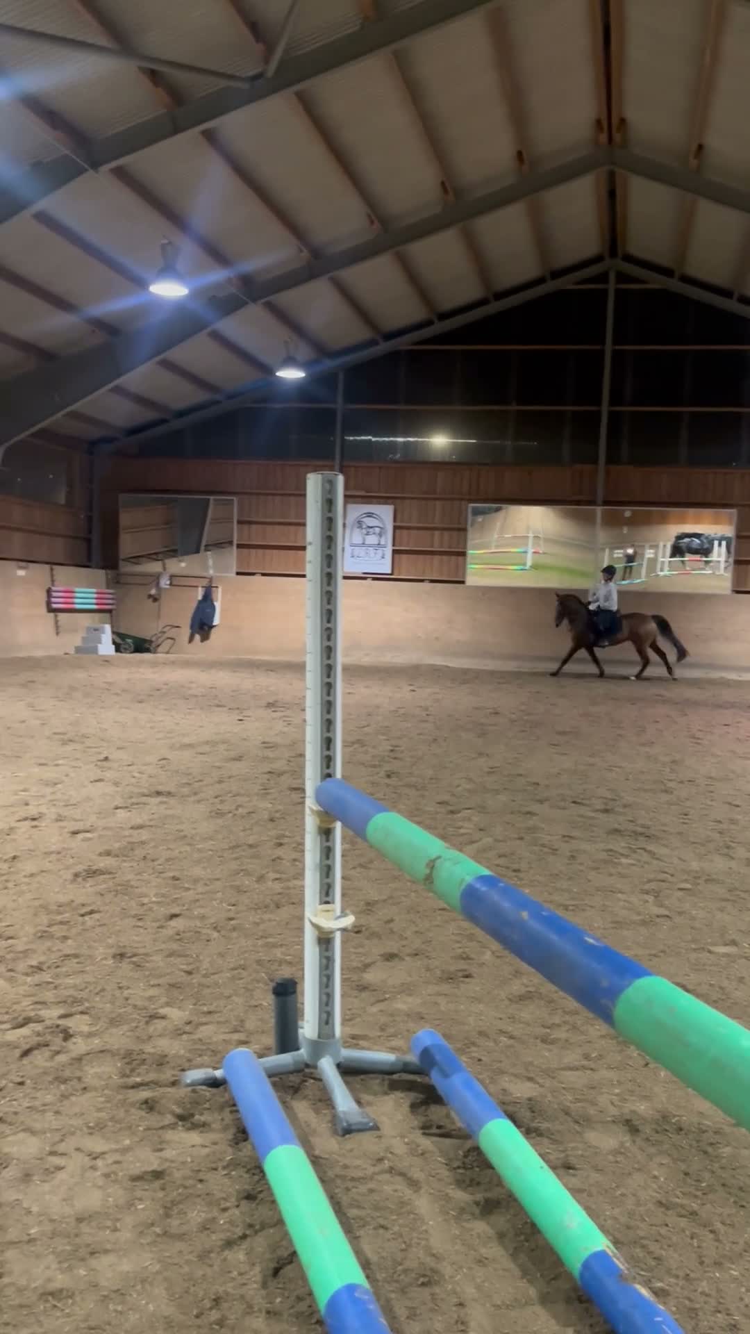 Allround hästar till salu: Välutbildad och meriterad Svensk Ridponny - Video 4