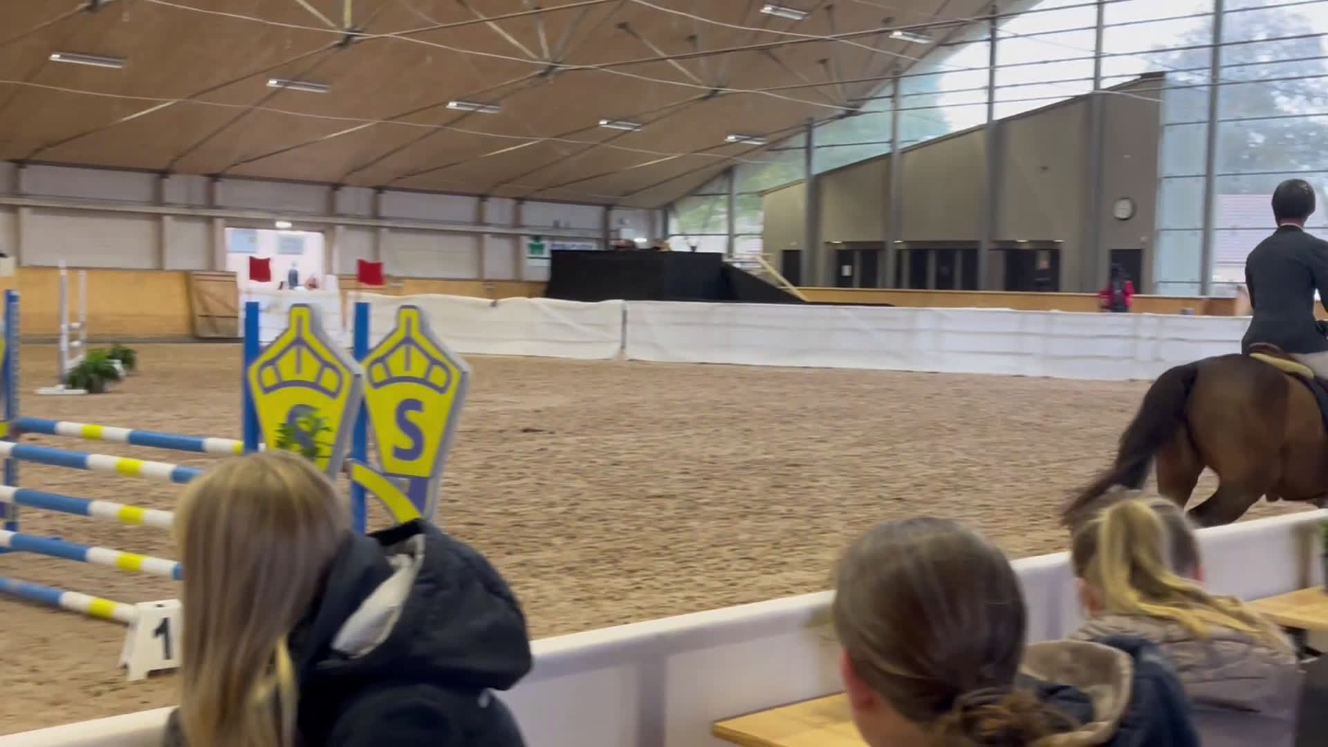 Hoppning hästar till salu: Supersöt breedersfinalist i Ingelstad - Video 2