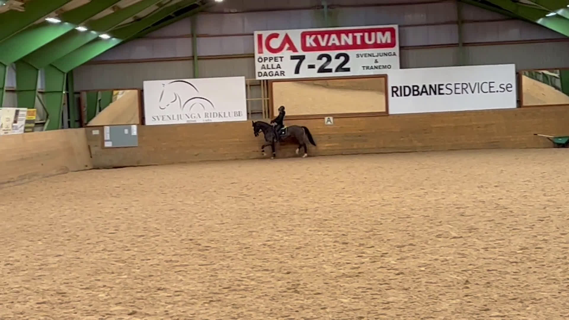 Allround hästar till salu: Hopp/dressyr sto - Video 2