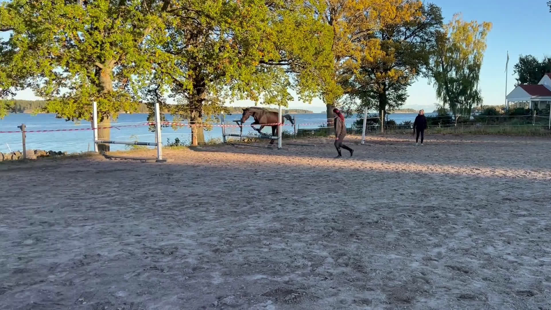 Hoppning hästar till salu: Härlig Unghäst ev Byte i Västervik - Video 1