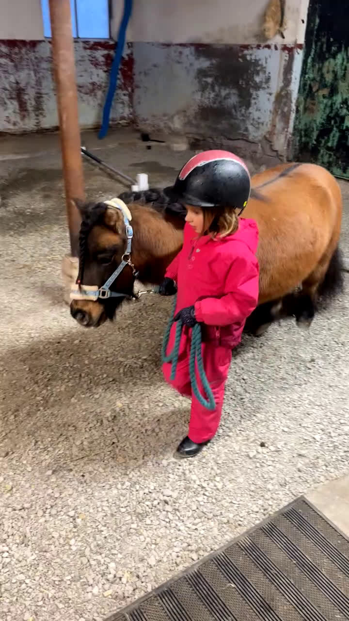 Övrigt hästar till salu: Genomsnäll barnponny - Video 1