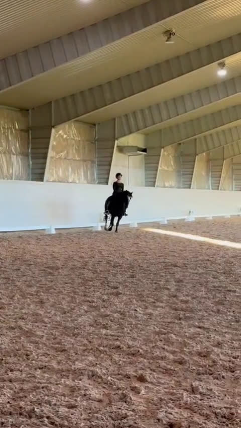 Dressyr hästar till salu: Talangfull maxad C-ponny - Video 4