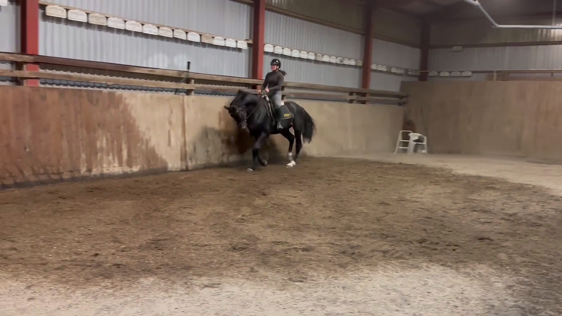 Dressyr hästar till salu: Snäll Dressyrvalack  i Ljungbyholm - Video 1