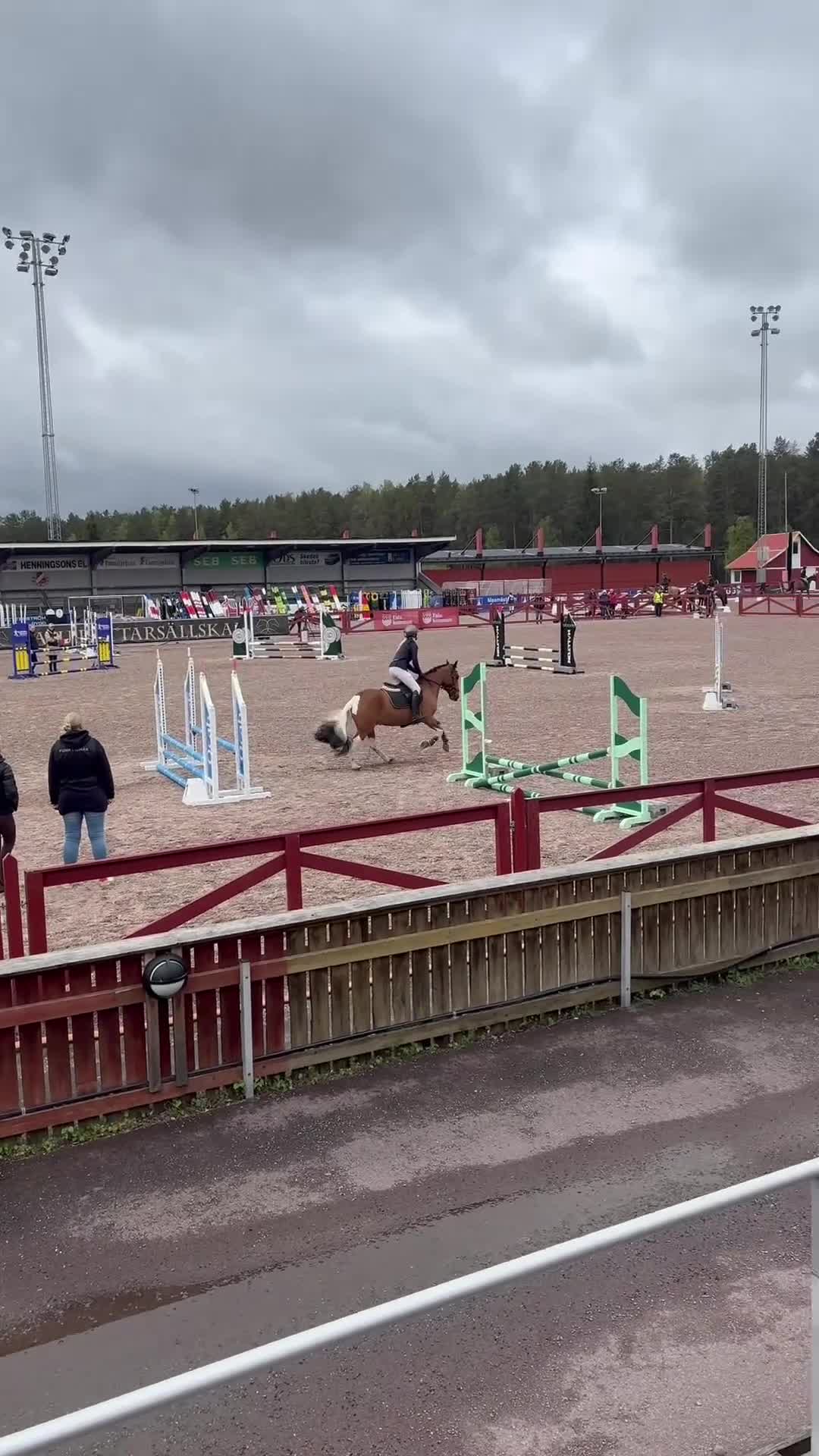 Hoppning hästar till salu: Baby shark🌟🌟🏆🌸 - Video 3