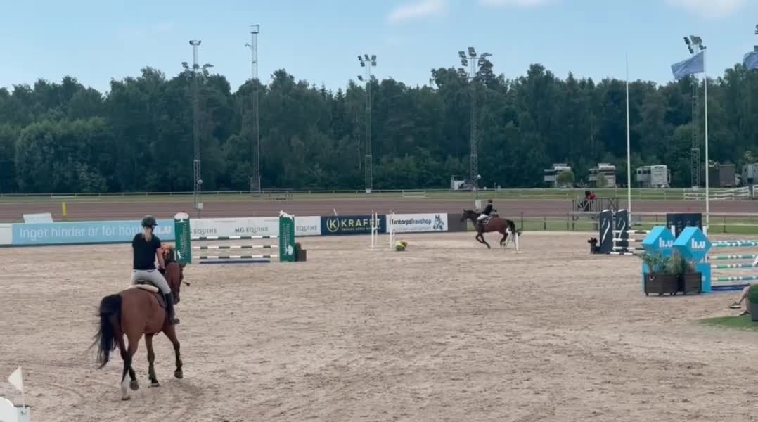 Hoppning hästar till salu: Trevligt hoppsto  - Video 1