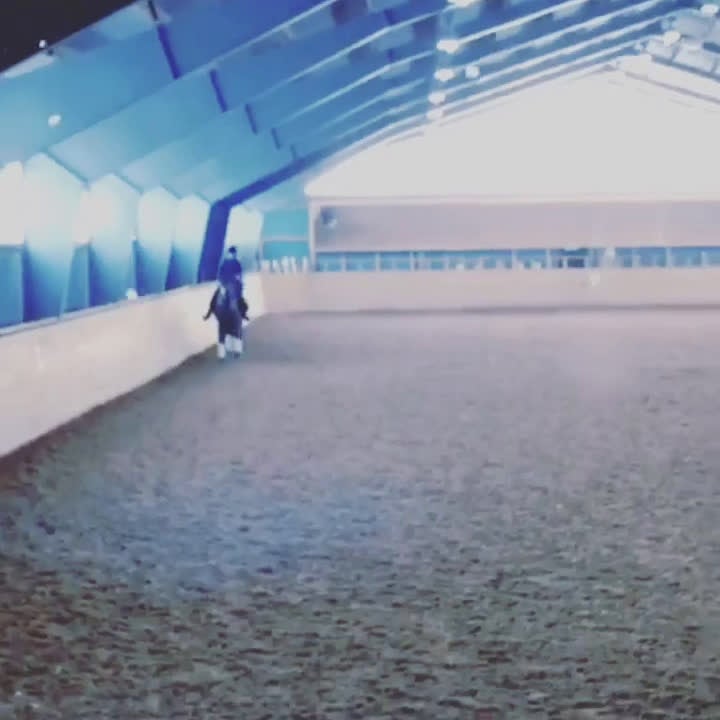  foderhäst sökes: Foderhäst sökes  - Video 3