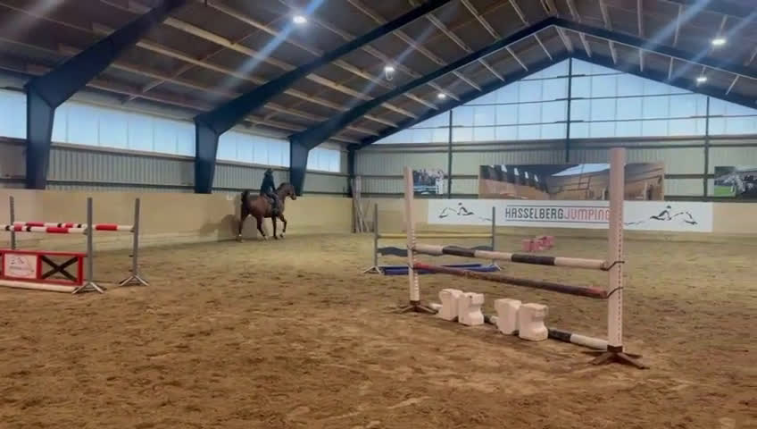 Hoppning hästar till salu: Hopphäst  i Kungsbacka - Video 2