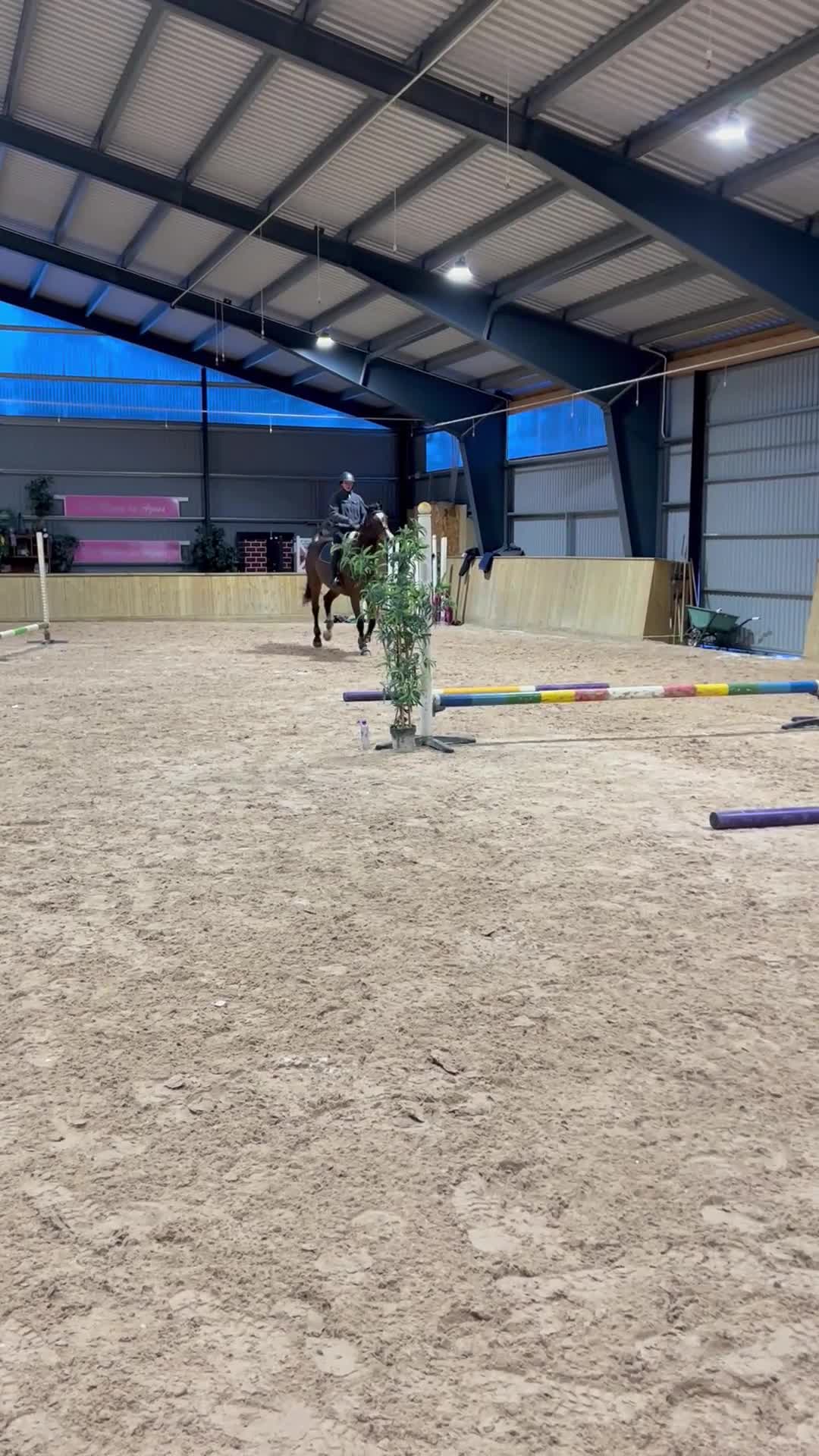  hästservice finnes: Hjälp med träning/inridning, hjälp från backen i Motala - Video 1