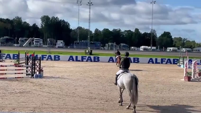 Hoppning hästar till salu: Diamond in the rough - Video 2