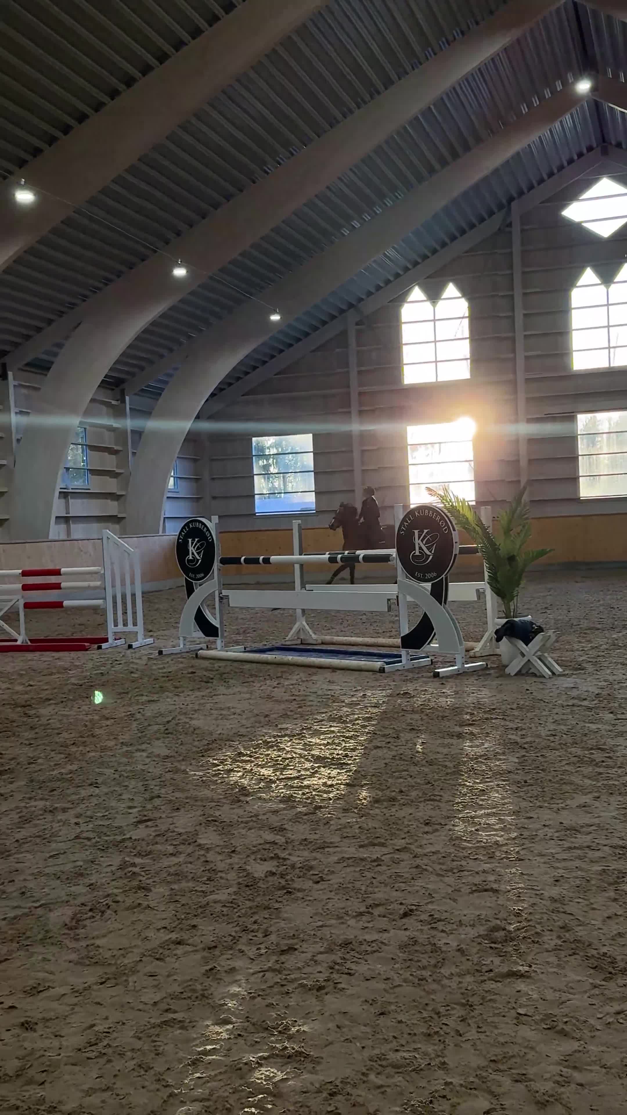 Hoppning hästar till salu: Lovande 6-årigt sto för framtiden  - Video 2