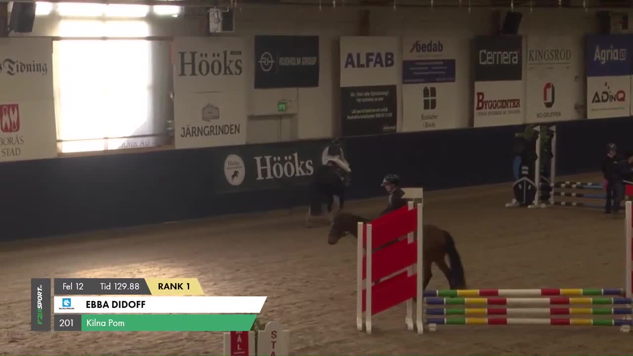 Allround hästar till salu: Go Nut med Meg - ponny med personlighet - Video 3
