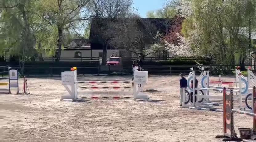 Hoppning hästar till salu: Exceptionellt sto med stor kvalitet i Hörby - Video 1